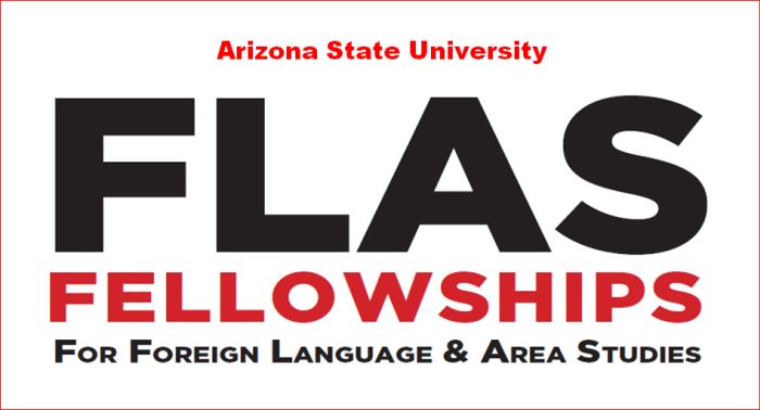 Foreign Language and Area Studies Fellowship