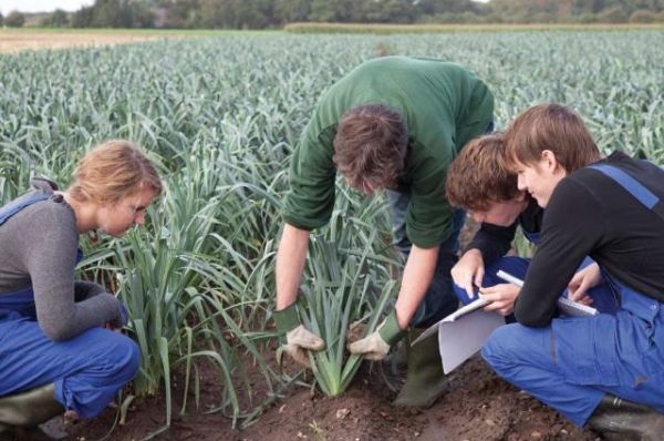 Agriculture Scholarships for International Students