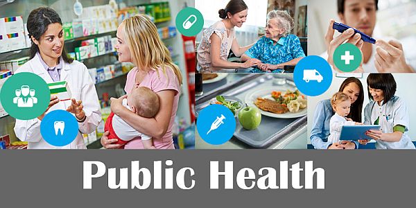 Best Public Health Schools in the USA