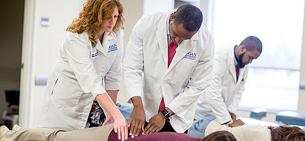 Top Chiropractic Colleges to Study in the USA