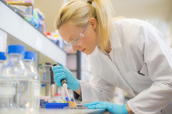 Top Colleges to Study Pharmacy in the World