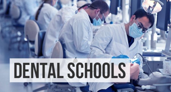 Top Dental Schools in the World