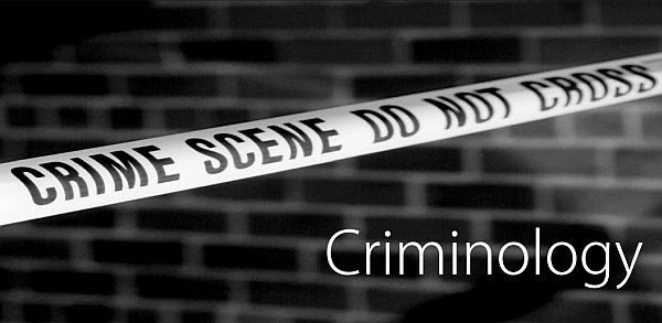 Top Criminology Schools to Study in the USA