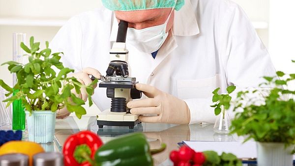 World's Best Universities to Study in Agricultural Sciences