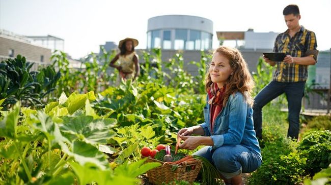 Top Agriculture Colleges to Study in the USA