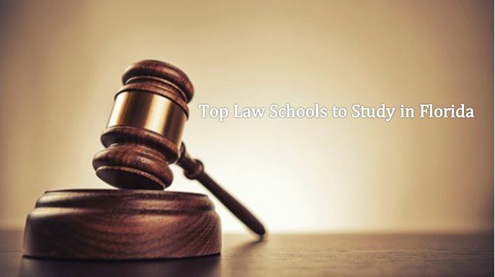 Top Law Schools to Study in Florida