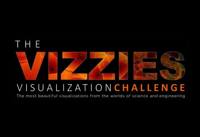 The International Science & Engineering Visualization Challenge