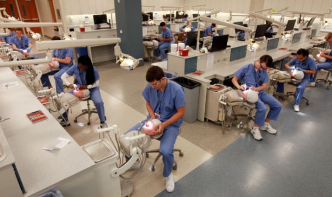 Top Dental Schools in the United States 