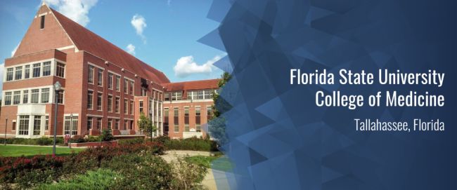 Top Medical Schools to Study in Florida