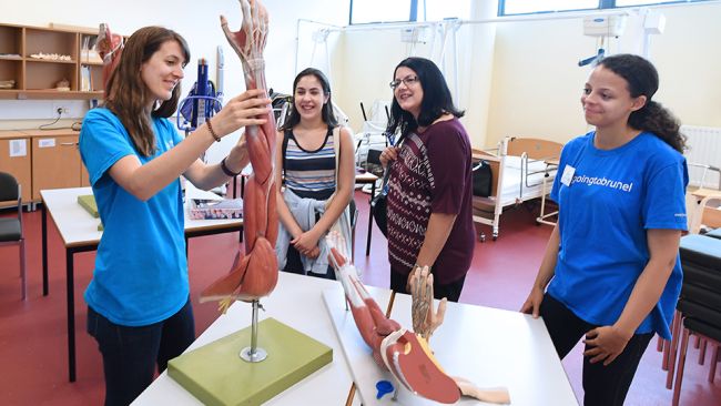 Top Occupational Therapy Schools to Study in the U.S.