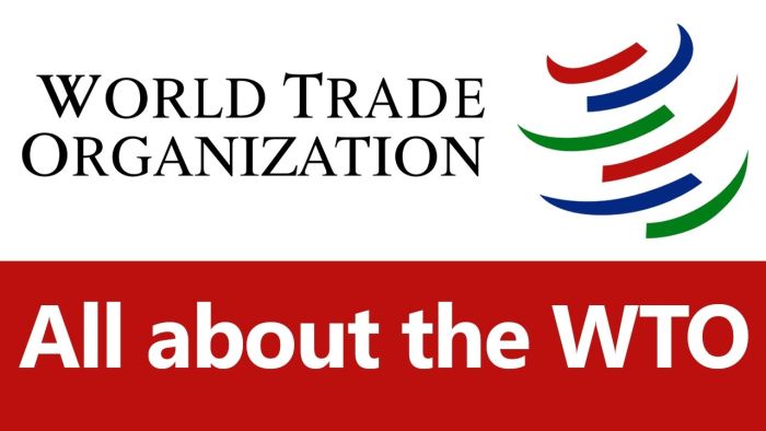 WTO Essay Award for Young Economists
