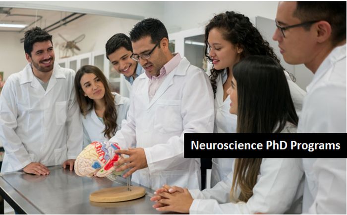 Top Neuroscience PhD Programs Worldwide