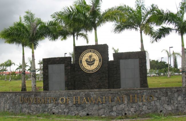 Best Colleges to Study in Hawaii