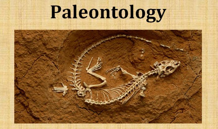 Best Colleges for Paleontology