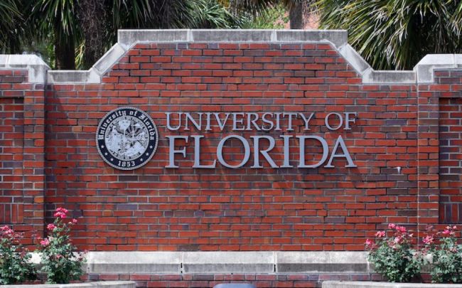 Best Colleges in Florida for Psychology