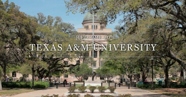 Best Colleges in Texas for Psychology