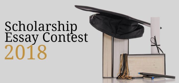 The Abelson Law Firm $1,000 Scholarship Essay Contest