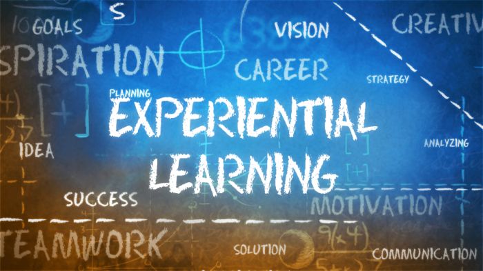 Top Colleges for Experiential Learning