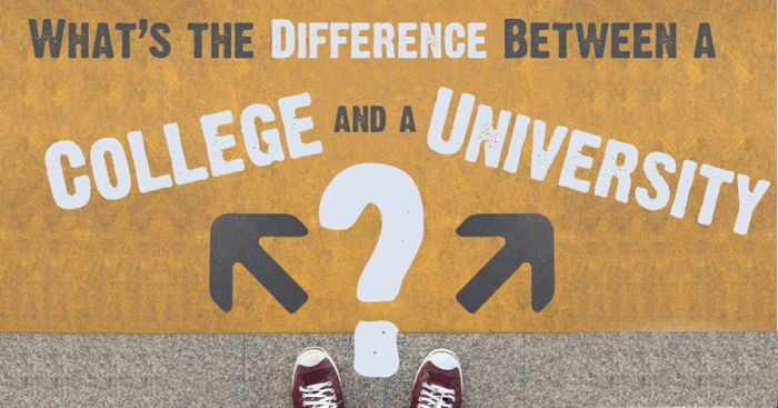 What is the Difference Between a University and a College?