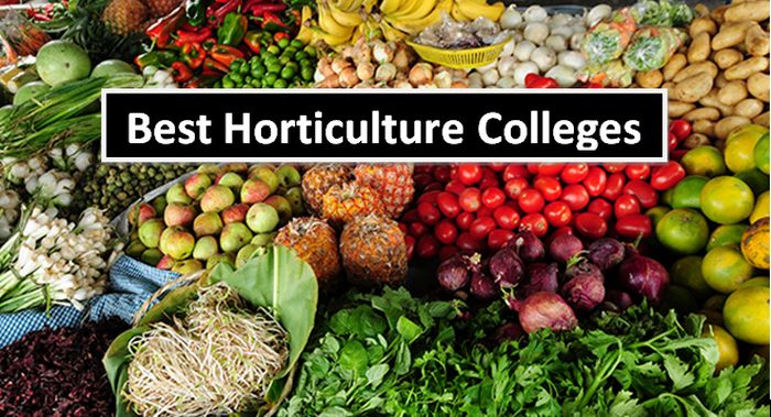 Best Horticulture Colleges
