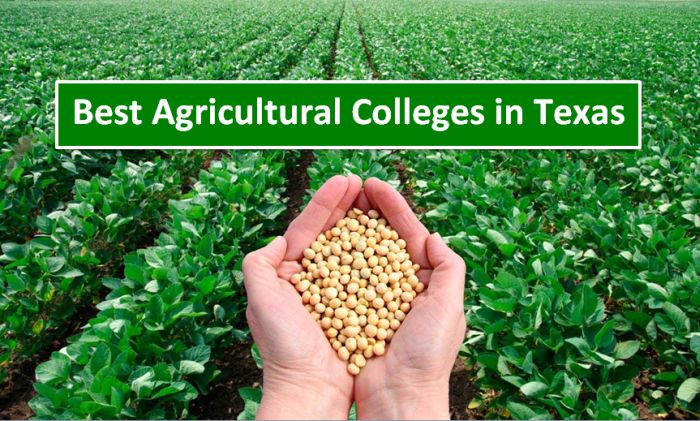 Best Agricultural Colleges in Texas 2018-19