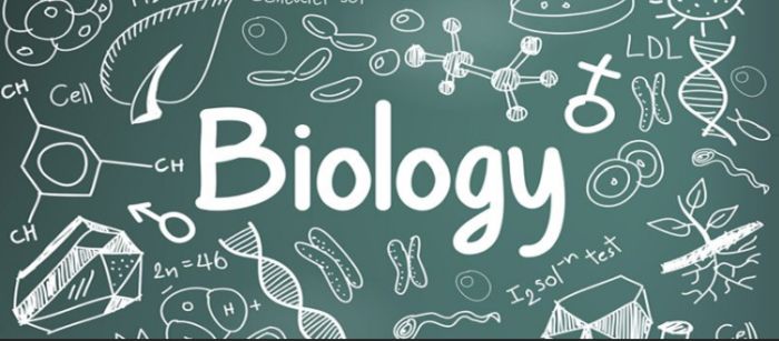 Best Biology Colleges in Florida
