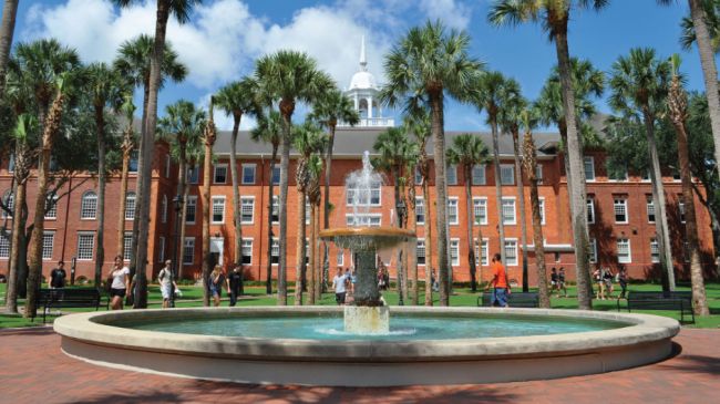 Best Psychology Colleges in Florida 2018-19