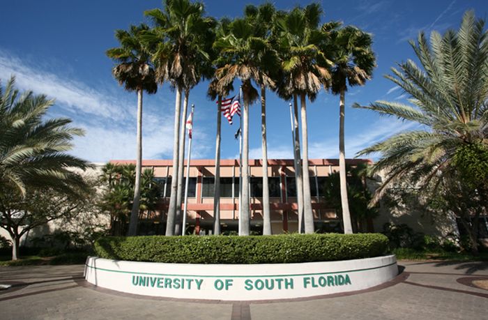 University of South Florida Acceptance Rate 2019-2020