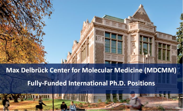 ﻿MDCMM Fully-Funded International Ph.D. Positions