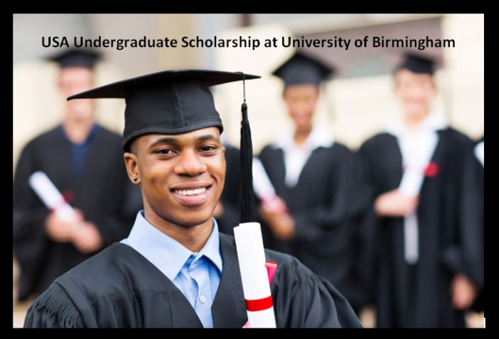 USA Undergraduate Scholarship at University of Birmingham