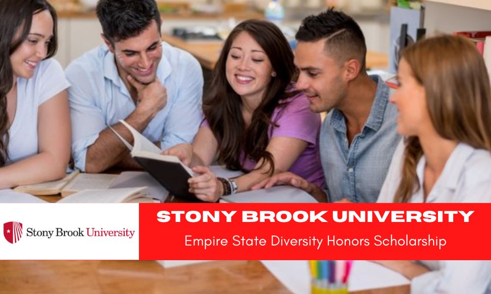Stony Brook University Empire State Diversity Honors Scholarship