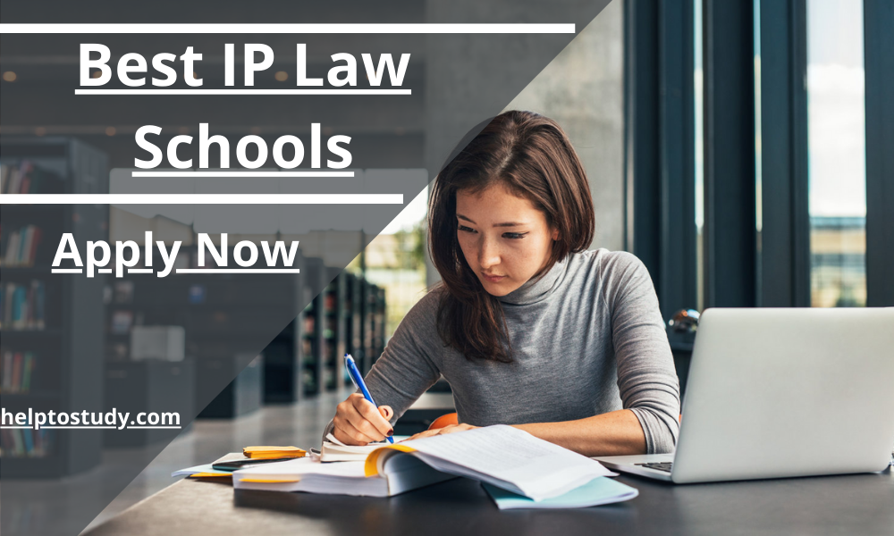 Best Ip Law Schools