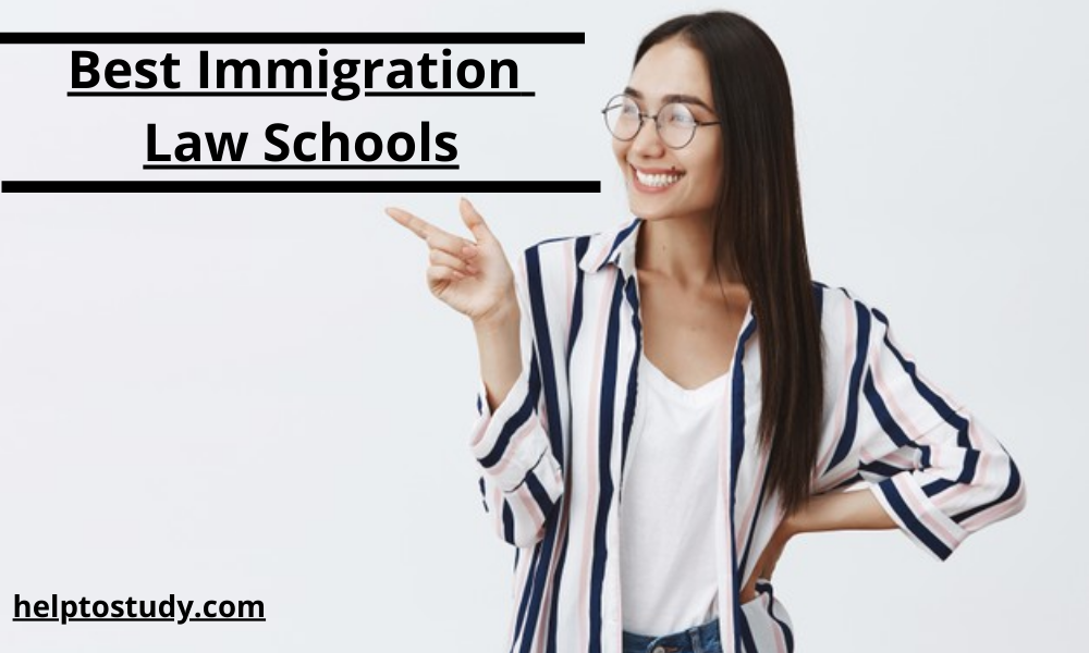 Best Immigration Law Schools
