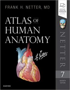 Human Anatomy Atlas 