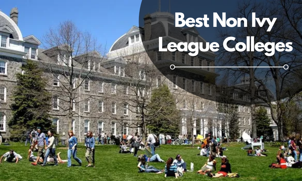 Best Non Ivy League Colleges