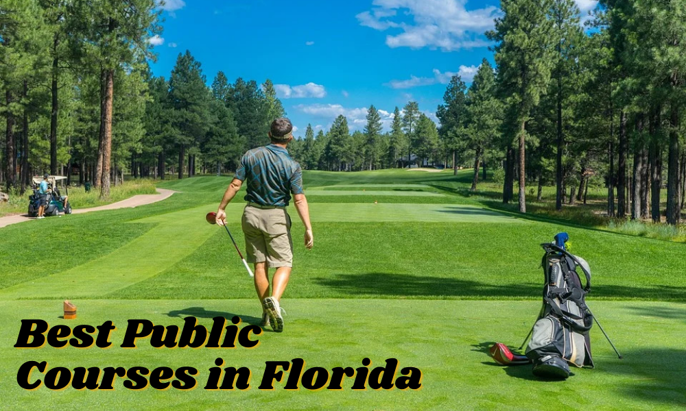 Best Public Courses in Florida