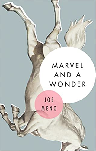 Marvel and a Wonder by Joe Meno