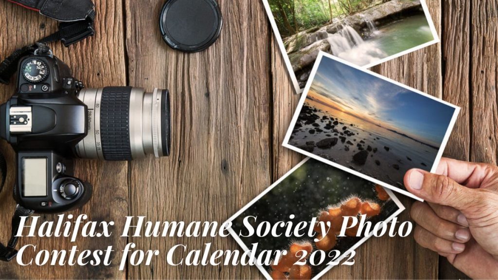 Halifax Humane Society Photo Contest for Calendar 2022