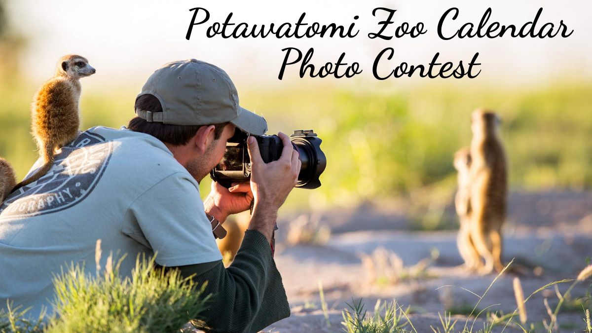 Potawatomi Zoo Calendar Photo Contest 2022