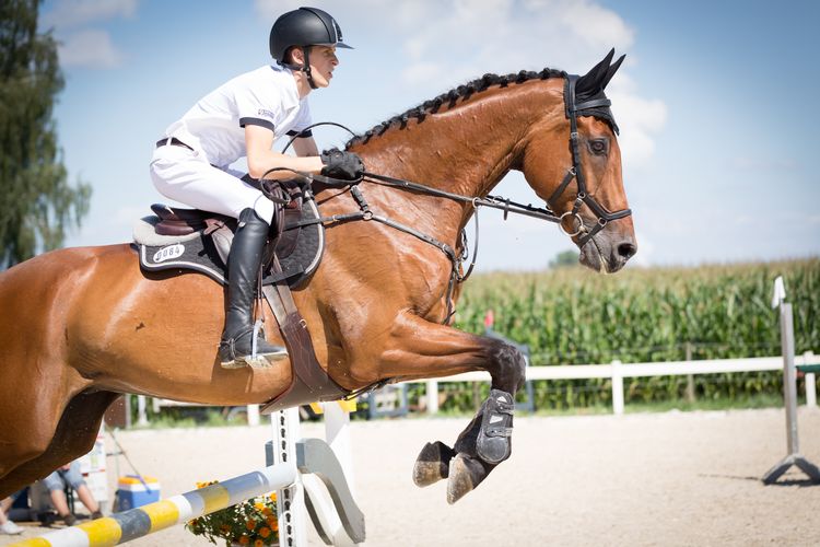 Scholarships for Equestrians