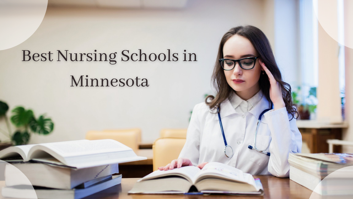 Best Nursing Schools in Minnesota (2)