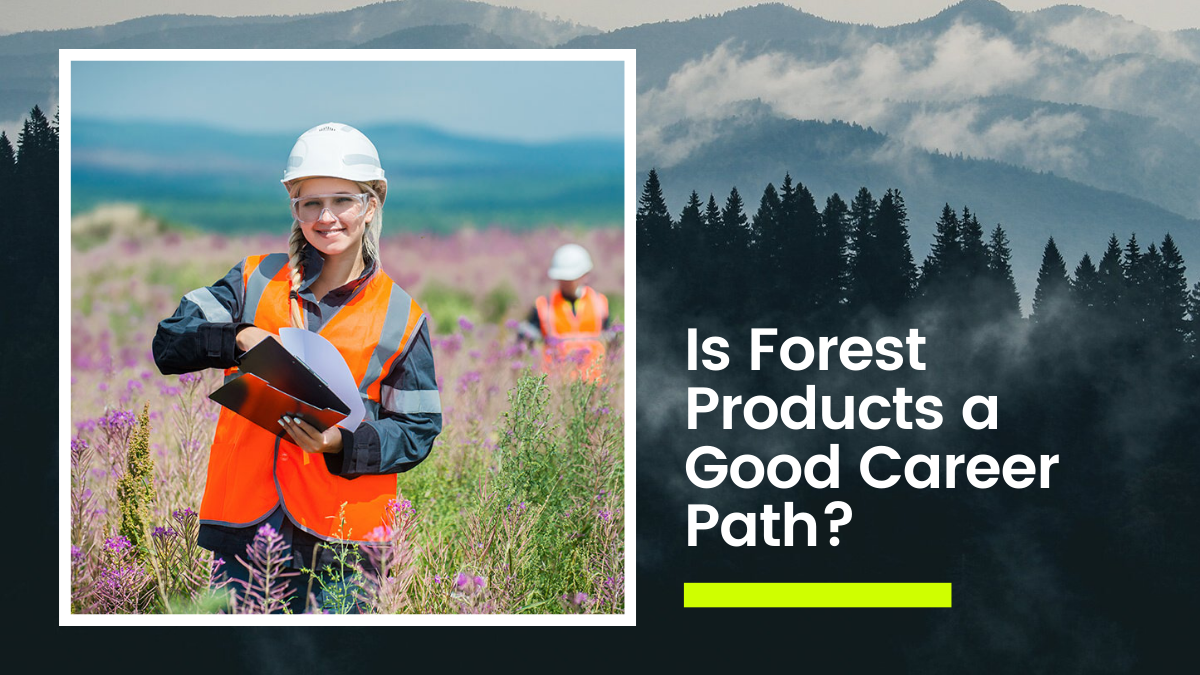 Is Forest Products a Good Career Path