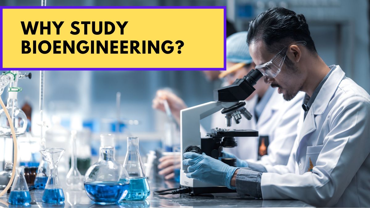 Why Study Bioengineering