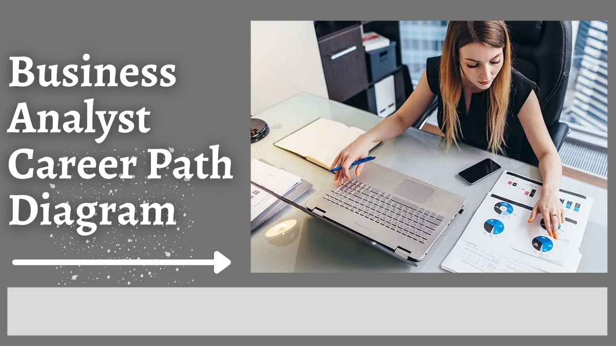 Business Analyst Career Path Diagram