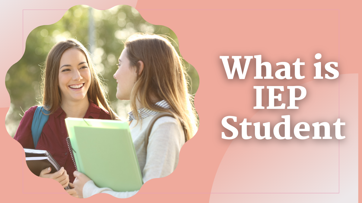 What is IEP Student