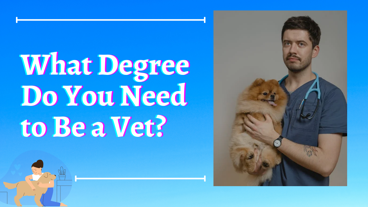 vet-admissions-courses-and-scholarships-2022-helptostudy-2023