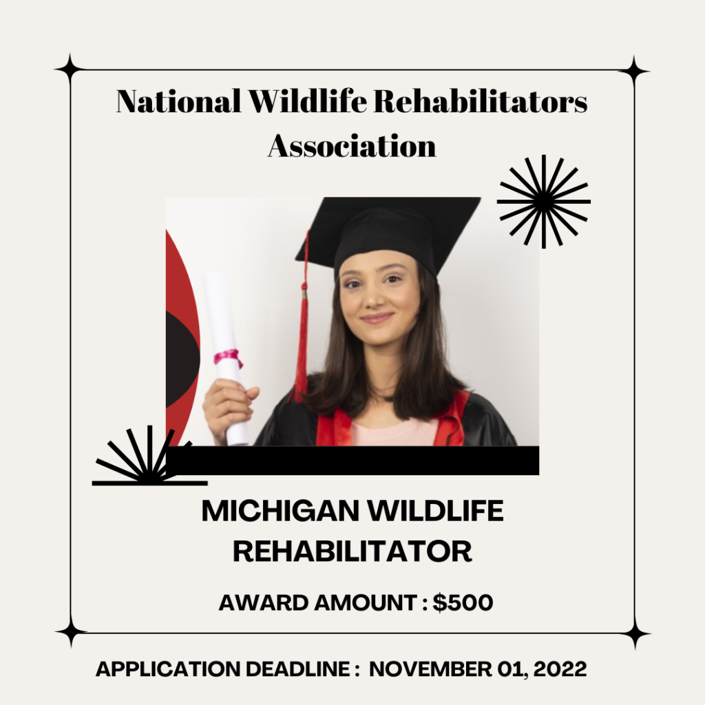 Michigan Wildlife Rehabilitator Continuing Education Scholarship (2)