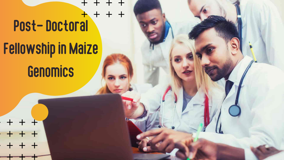 Postdoctoral Fellowship in Maize Genomics